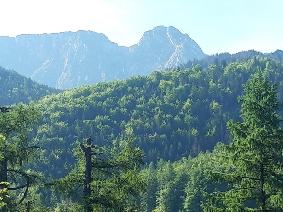 Kwatery Prywatne-Romanowka Zakopane Extérieur photo