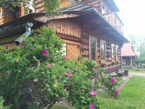 Kwatery Prywatne-Romanowka Zakopane Extérieur photo