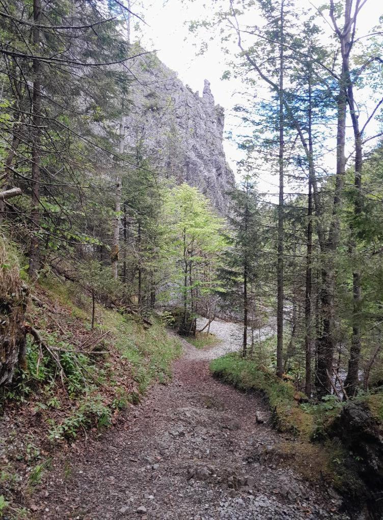 Kwatery Prywatne-Romanowka Zakopane Extérieur photo