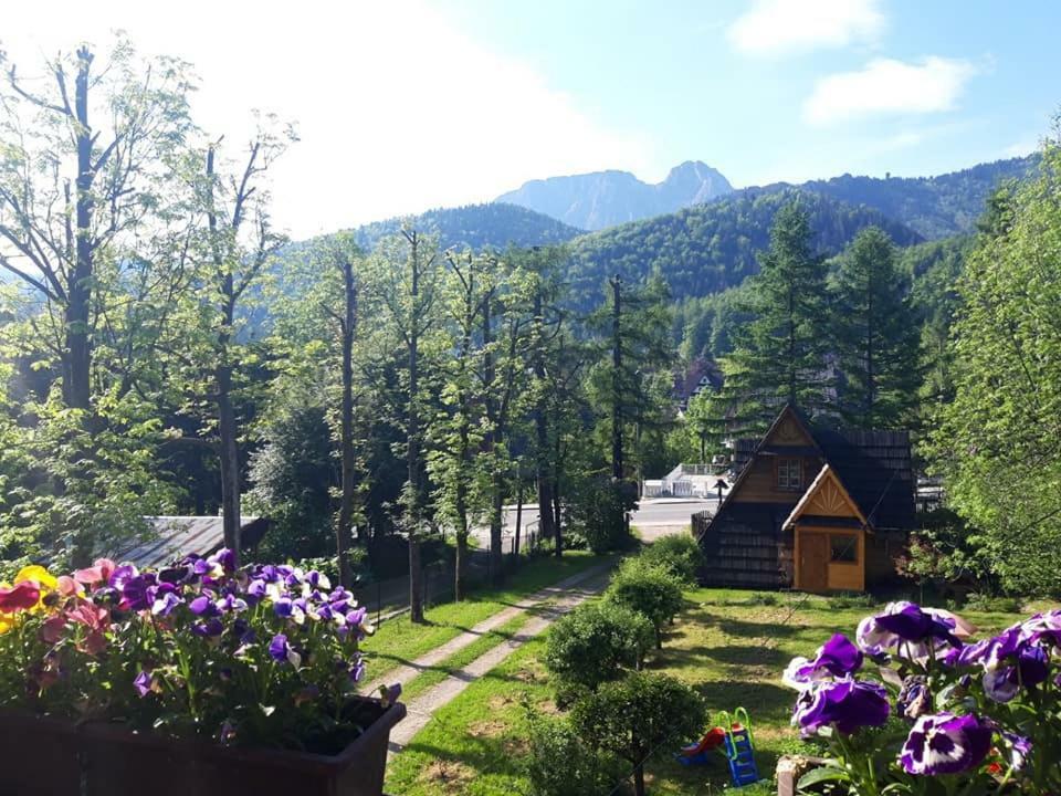 Kwatery Prywatne-Romanowka Zakopane Extérieur photo