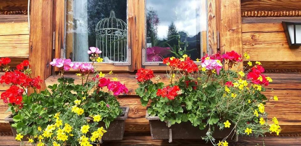 Kwatery Prywatne-Romanowka Zakopane Extérieur photo